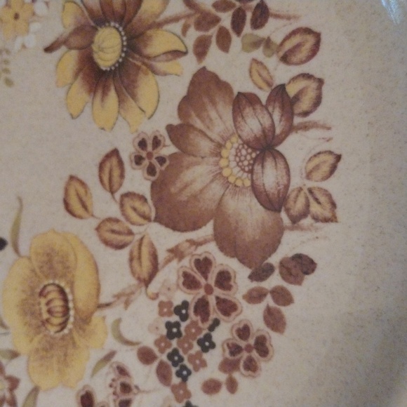 Retro Alpine Mountain Stoneware Collection “woodlands” floral vintage plates - Picture 3 of 9